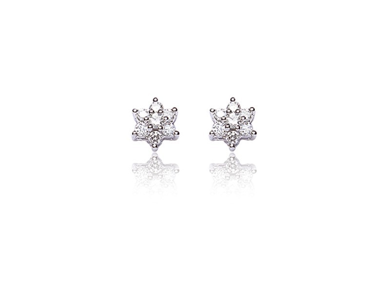 9ct White Gold 0.25ct Diamond Stud Earrings