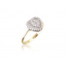 9ct Yellow & White Gold ring with 0.25ct Diamonds in white gold mount. 