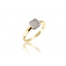 9ct Yellow & White Gold ring with 0.10ct Diamonds in white gold mount. 