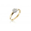 9ct Yellow & White Gold ring with 0.25ct Diamonds in white gold mount. 