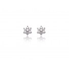 9ct White Gold 0.25ct Diamond Stud Earrings