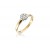 9ct Yellow & White Gold ring with 0.25ct Diamonds in white gold mount. 